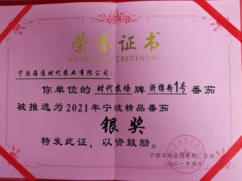 浙櫻粉1號番茄2021年寧波精品番茄銀獎